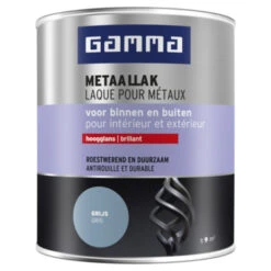 GAMMA Metaallak Hoogglans 750 Ml RAL7001 Zilver Grijs